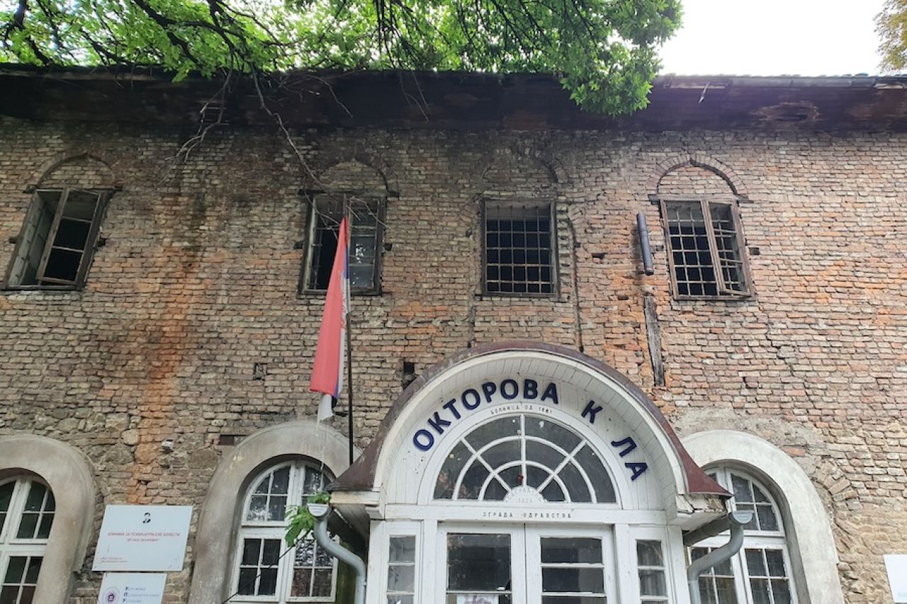 Istorijat ludila u Srbiji – od Doktorove kule do modernih klinika u kojima se slika, uči kuvanje i igra zanimljive geografije (1. deo)